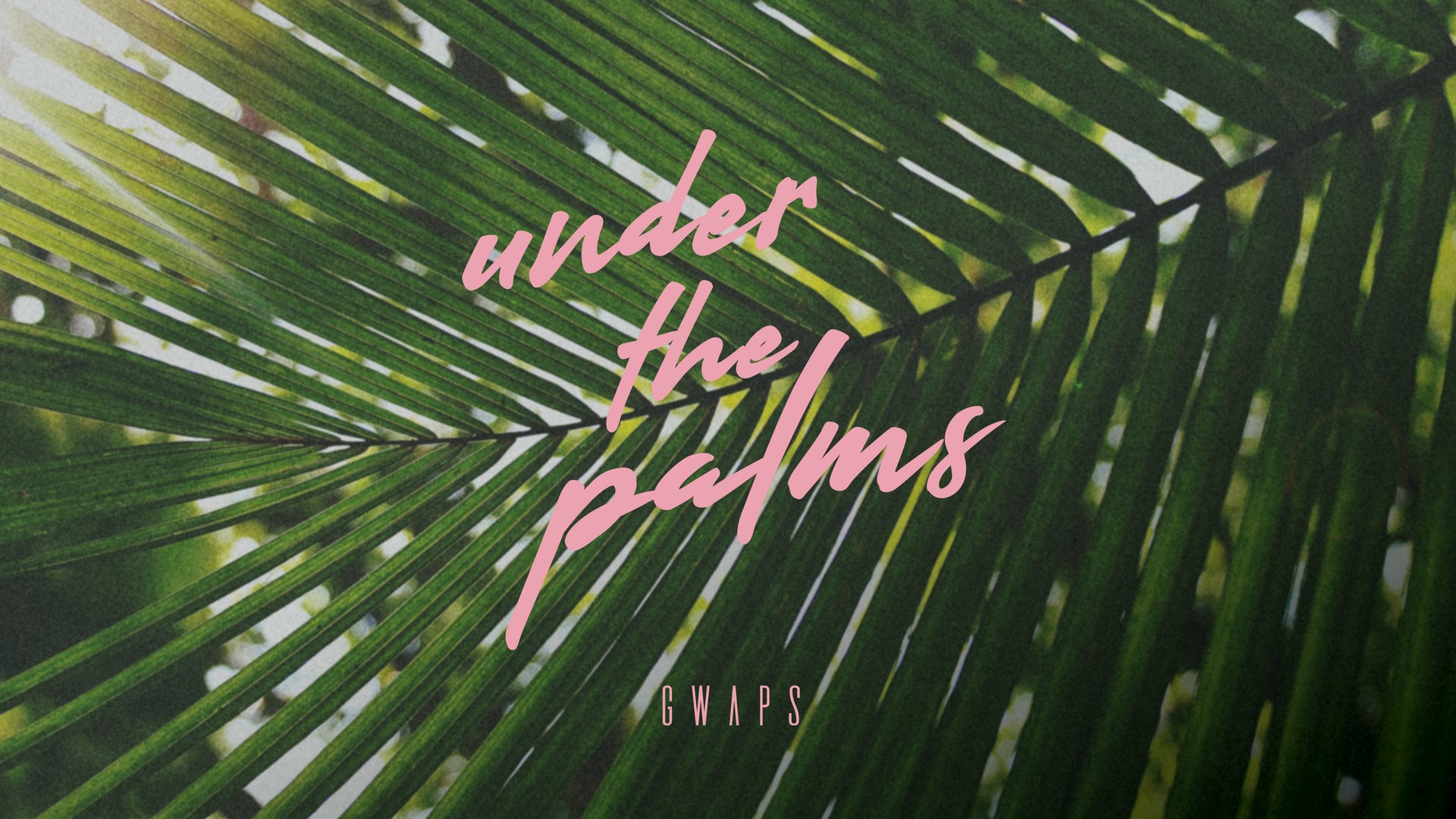 Load video: under the palms