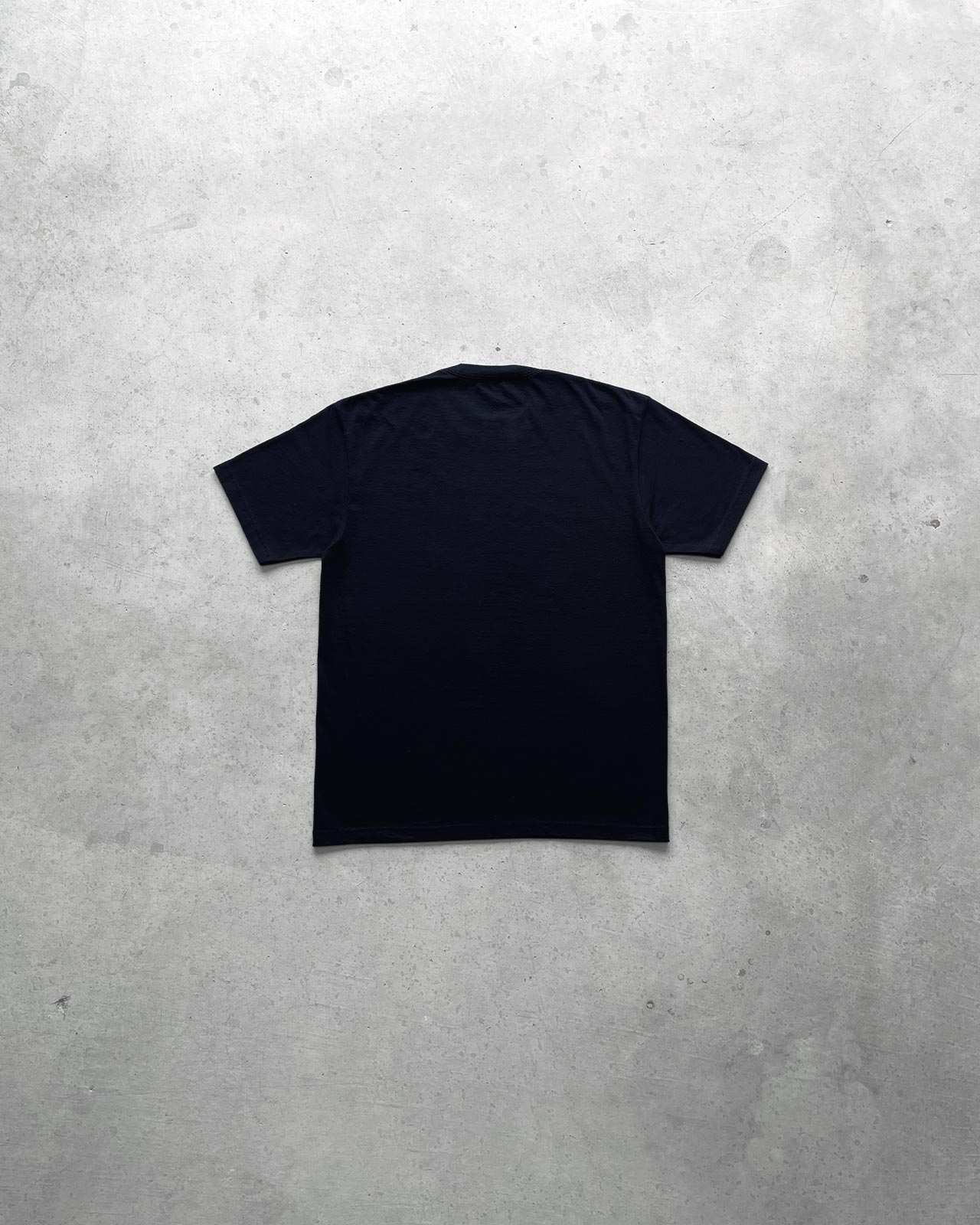 BOX LOGO CLASSIC T-SHIRT