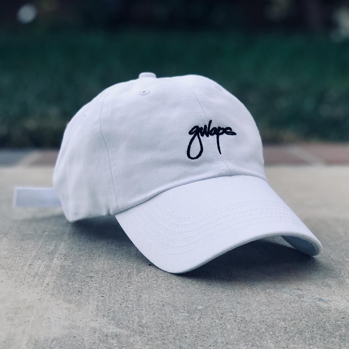 GWAPS SCRIPT CAP