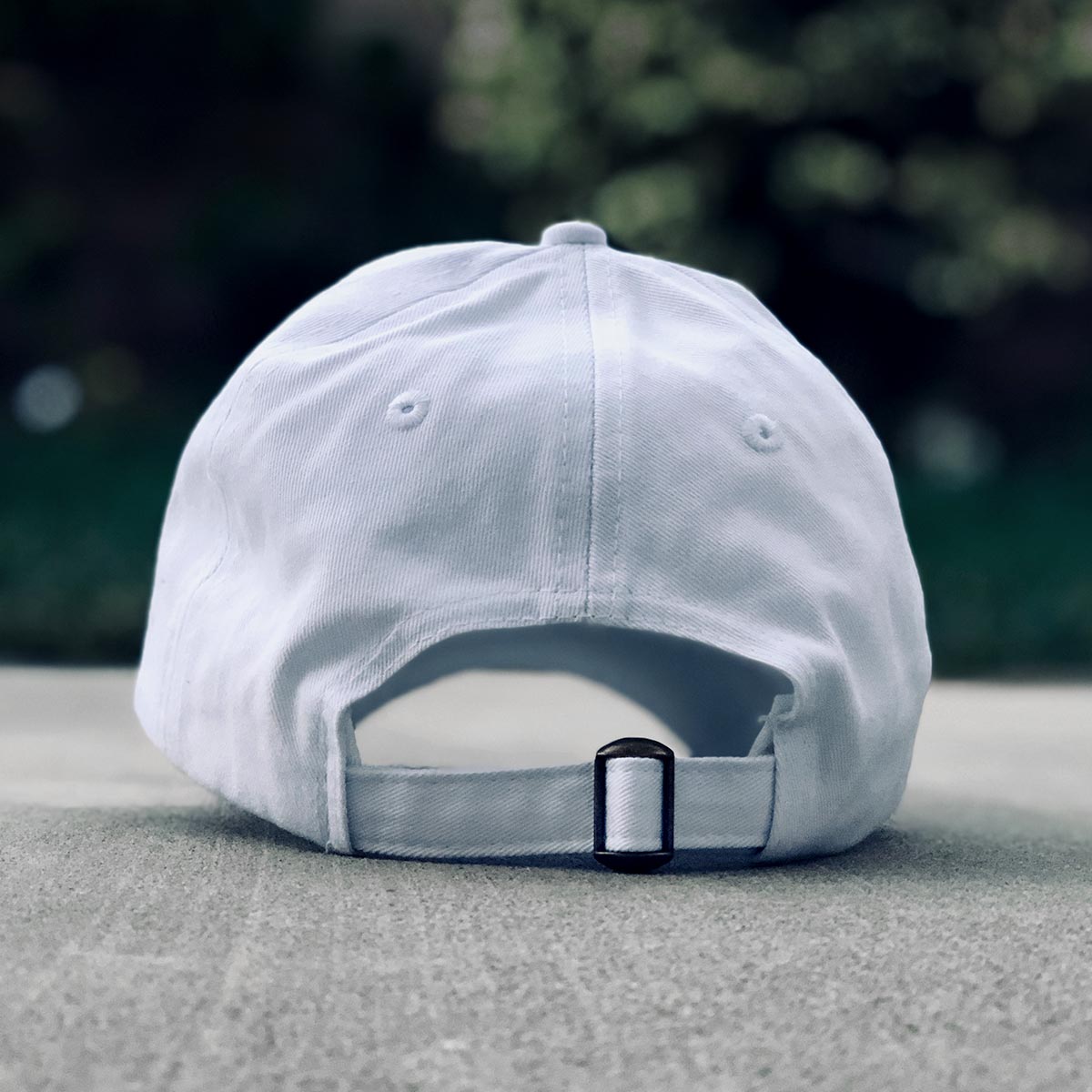 GWAPS SCRIPT CAP